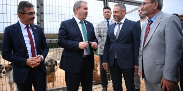 ERENLER BELEDİYESİ SOKAK HAYVANLARI GEÇİCİ BARINMA MERKEZİ AÇILDI (2)