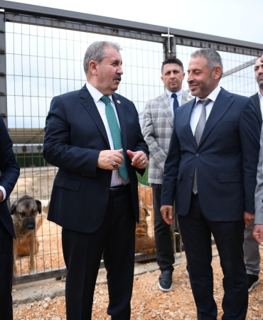 ERENLER BELEDİYESİ SOKAK HAYVANLARI GEÇİCİ BARINMA MERKEZİ AÇILDI (2)