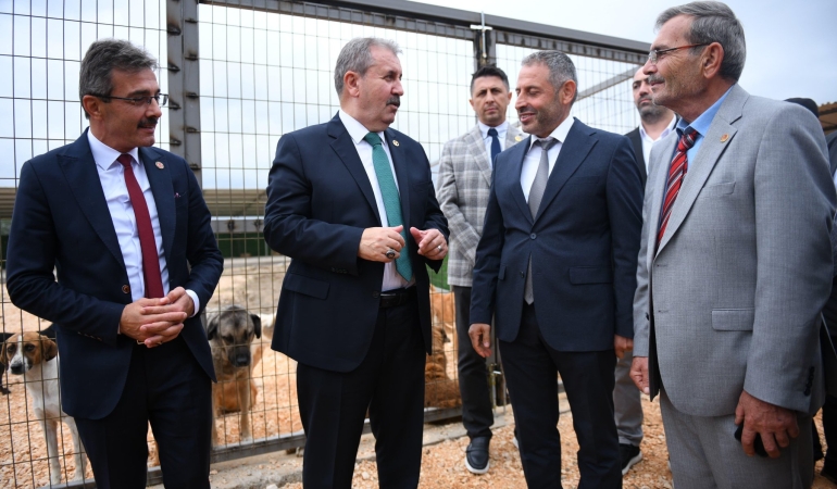 ERENLER BELEDİYESİ SOKAK HAYVANLARI GEÇİCİ BARINMA MERKEZİ AÇILDI