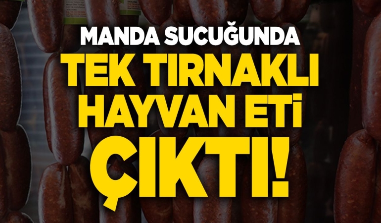 Manda sucuğunda tek tırnaklı hayvan eti çıktı
