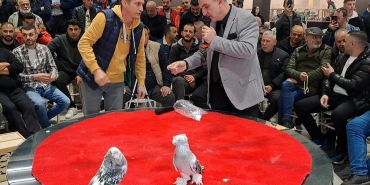 09db0ccc-558d-4bc1-9539-0d6877b4b1bd