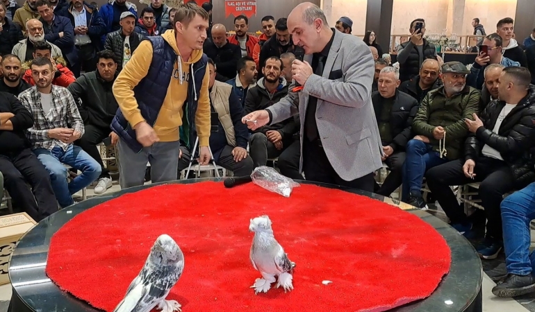 Tepeli Kostüm Güvercinleri Festivali yapıldı