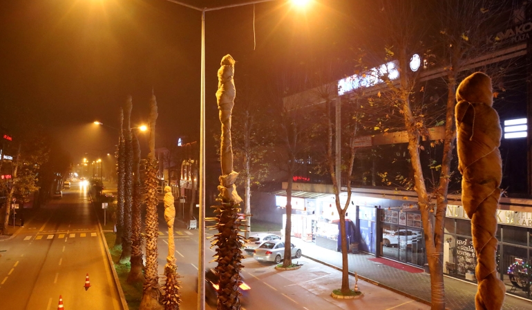 Büyükşehir’den şehrin süsü palmiyeler için dondurucu soğuklara karşı özel önlem