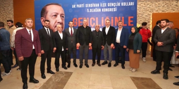 WhatsApp Image 2024-11-17 at 12.01.00