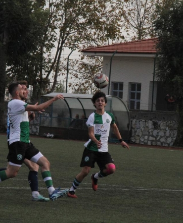 ens erneler harmanlık (18)
