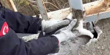 KÖPRÜ KORKULUĞUNUN ALTINA SIKIŞAN YAVRU KEDİNİN İMDADINA İTFAİYE YETİŞTİ