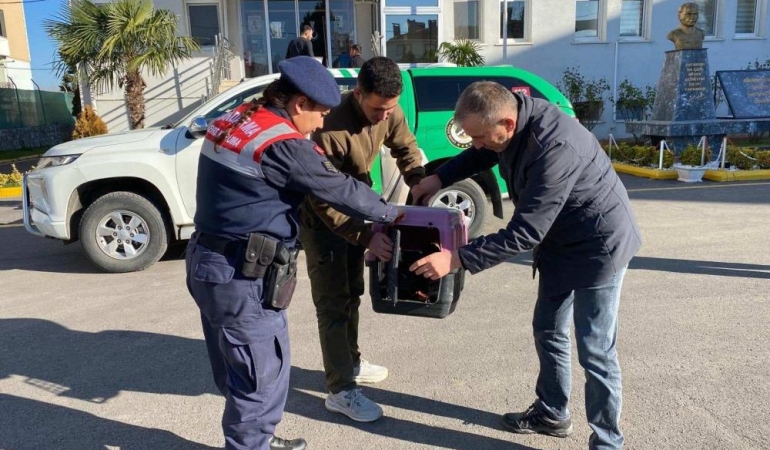 Sakarya’da kaçak avcılık yapan şahsa 48 bin 250 TL ceza