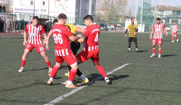 Pamukova dan karlı galibiyet 2-0