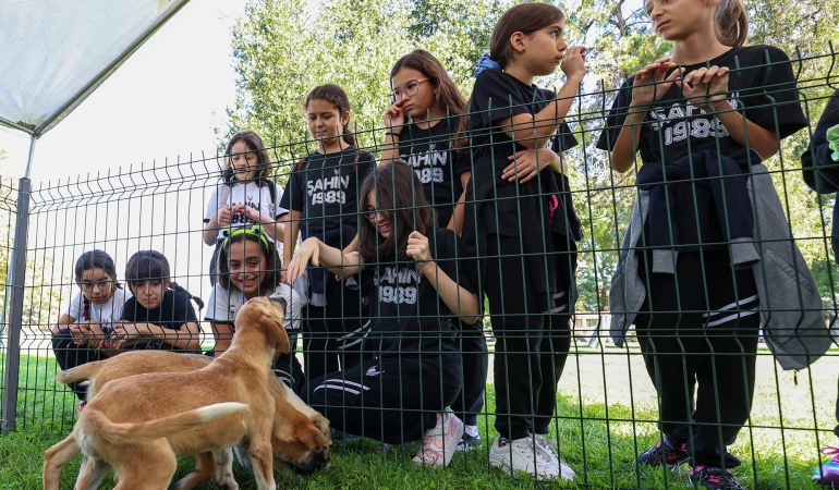 2024’te can dostların derdine deva hastalığına şifa oldular: Kedi, köpek, tavşan, sincap…