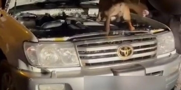 YAKIT DEPOSUNDAN LİTRELERCE UYUŞTURUCU ÇIKTI
