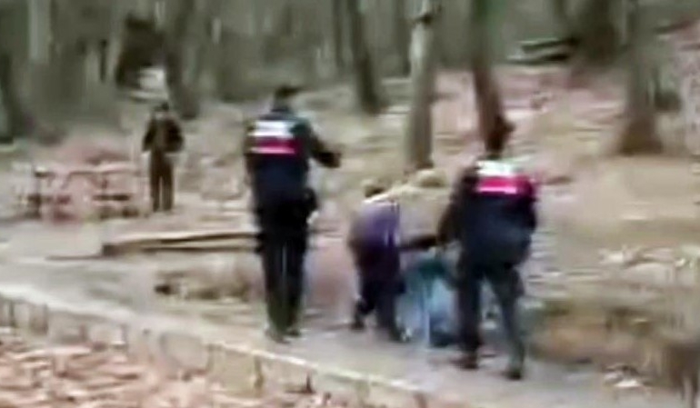 Tabiat Parkını tepeden tırnağa soydular