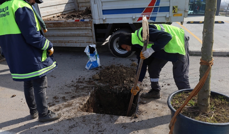 Büyükşehir ‘yeşil’ dokunuşla şehrin çehresini değiştiriyor