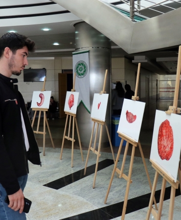 ORGANLARI SANAT ESERİNE DÖNÜŞTÜRÜYOR CANLI DOKULARDAN OLUŞTURDUĞU FOTOĞRAF SERGİSİNİ TIP BAYRAMI'NDA SAKARYA'DA AÇTI