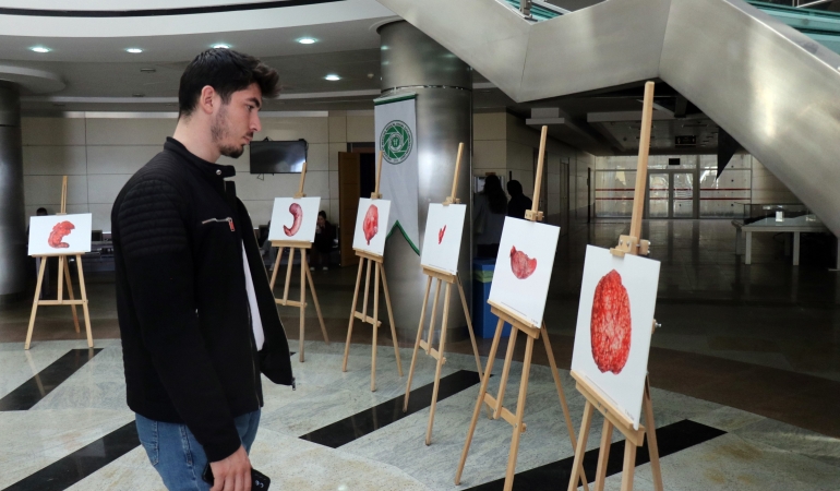Organları sanat eserine dönüştürüyor