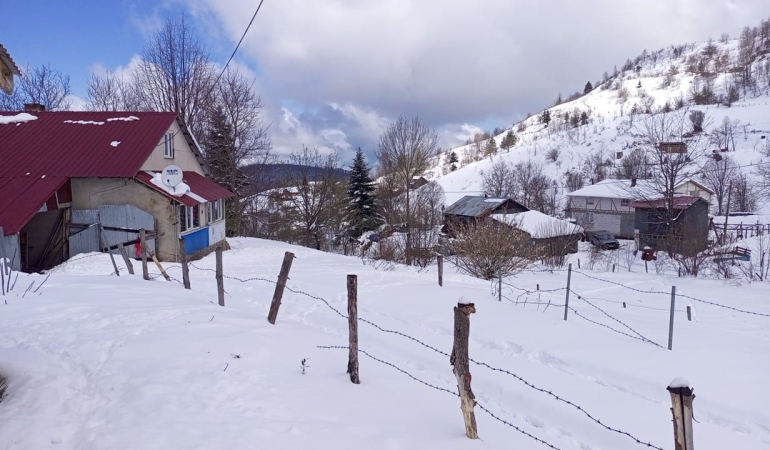 Yeşilin karla buluşması kartpostallık görüntüler sundu