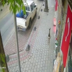 İLÇE MERKEZİNE İNEN KARACA GÜVENLİK KAMERASINDA
