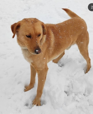 WhatsApp Image 2025-04-26 at 16.09.29 (2)