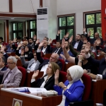 Büyükşehir meclisi t