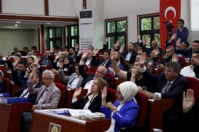 Büyükşehir meclisi t
