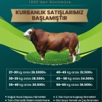WhatsApp Image 2025-04-30 at 20.13.42 (1)