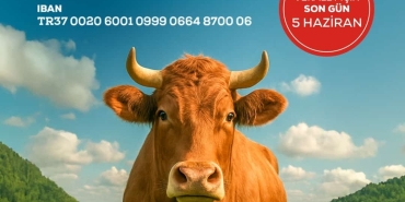 WhatsApp Image 2025-06-02 at 11.13.36