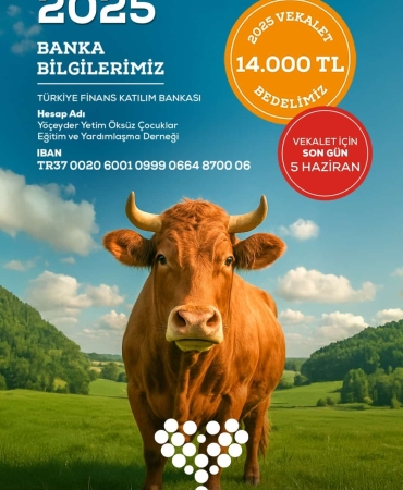 WhatsApp Image 2025-06-02 at 11.13.36