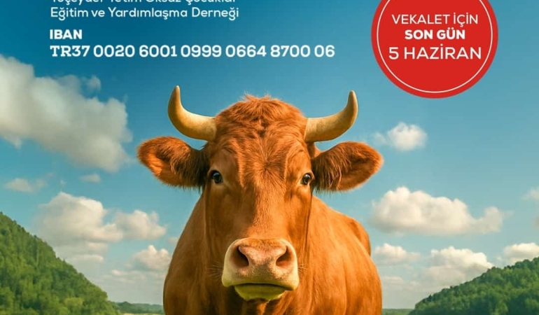 WhatsApp Image 2025-06-02 at 11.13.36