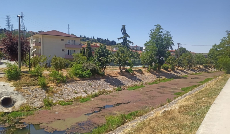 Çark Deresi Otuzikievler’de Alarm Veriyor: Çöp, Yosun ve Kötü Kok