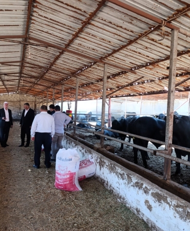 75899eae-d86b-43c3-b1d1-f0a7c3d0f611