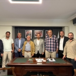 haldız