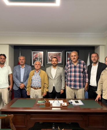 haldız