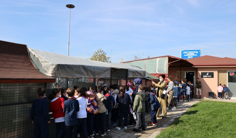 Sevgi dolu buluşma: Can dostların yeni dünyasına hayran kaldılar