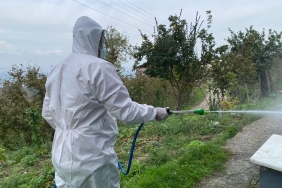 ERENLER DE KOKARCAYA YÖNELİK ETKİLİ MÜCADELE DEVAM EDİYOR (2)