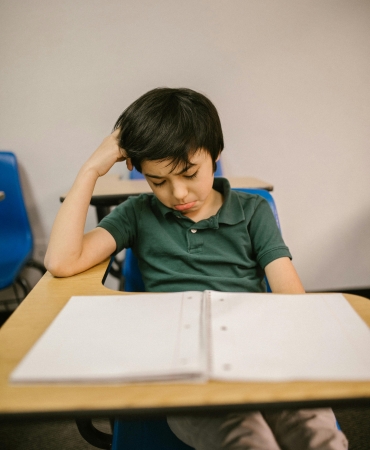 KEKEMELİK_GENEL_GÖRSEL_(2)_161531845