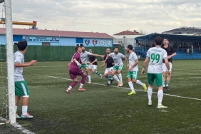 ens harmanlık sapanca (7)