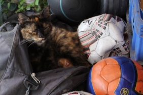 harmanliksporun-guzel-hareketi-fair-play-odulune-layik-goruldu2