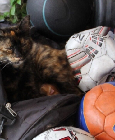 harmanliksporun-guzel-hareketi-fair-play-odulune-layik-goruldu2