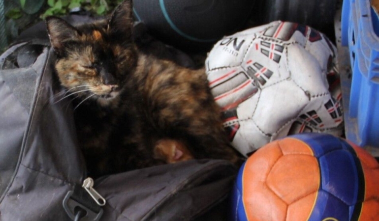 harmanliksporun-guzel-hareketi-fair-play-odulune-layik-goruldu2