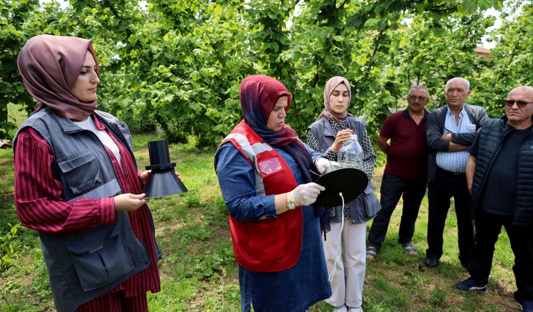 Büyükşehir 2025’te çiftçinin toprağına umut ekti