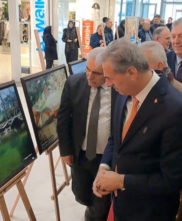 197c393a-836c-4f71-8f7e-fc948bc68423