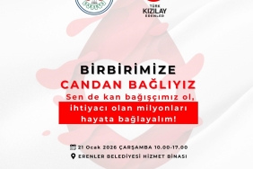 2ca75a4e-6cda-4531-bba3-d368ca5ae59d