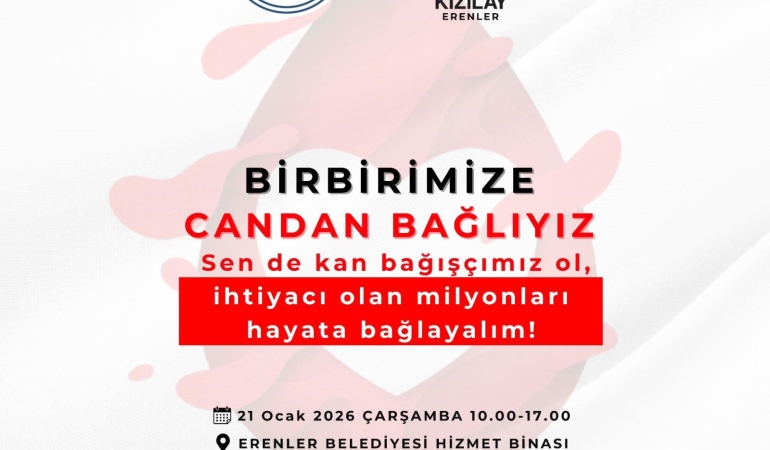 2ca75a4e-6cda-4531-bba3-d368ca5ae59d