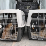 61672af8-2a92-415b-b6ba-38d753350f82