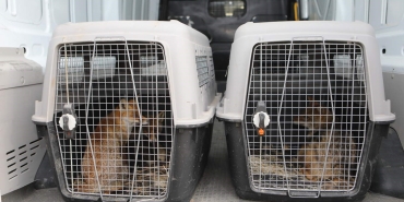 61672af8-2a92-415b-b6ba-38d753350f82