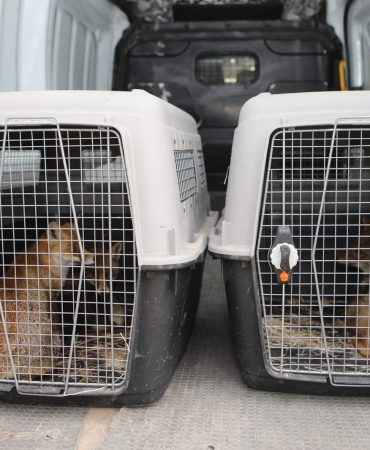 61672af8-2a92-415b-b6ba-38d753350f82