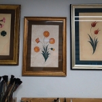 87a205a3-f9df-4c29-80bc-9bf5b969b174