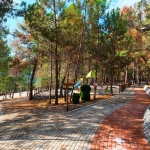 97274bc8-628e-425d-b95d-b05a34b30e63