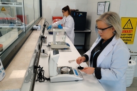 e711e0cd-7ac2-4ca7-84e4-e0c527c4af6f