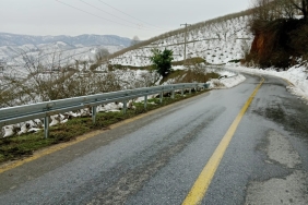 e7dc7da6-cff2-40ee-923c-cb8410e3bb75