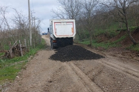 f2119dba-a654-404a-9723-c6a63b7b2a93